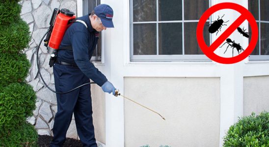 Kızılcahamam Hamam Böceği İlaçlama böcek ilaçlama ve haşere kontrolü — ilaclama-tr.com